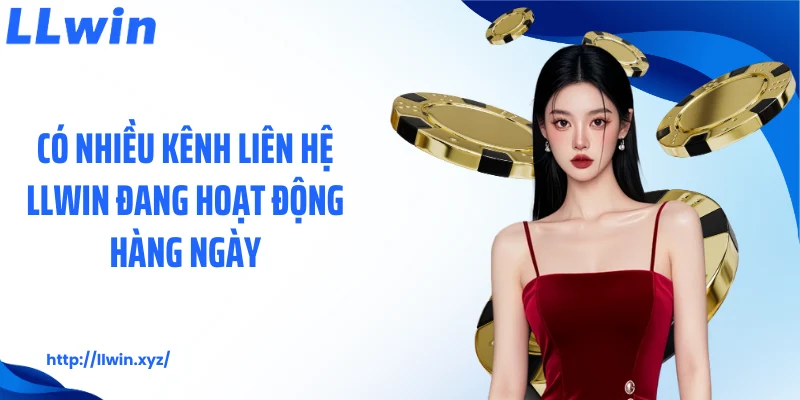 Có nhiều kênh liên hệ LLWIN đang hoạt động hàng ngày